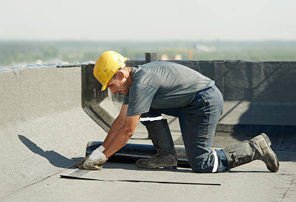 Best Cellulose Insulation  in Moultrie, GA