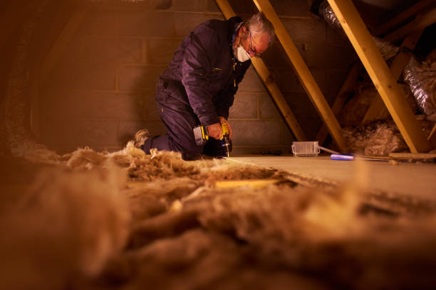 Best Insulation Inspection Services  in Moultrie, GA