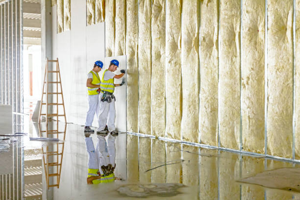 Insulation Inspection Services in Moultrie, GA